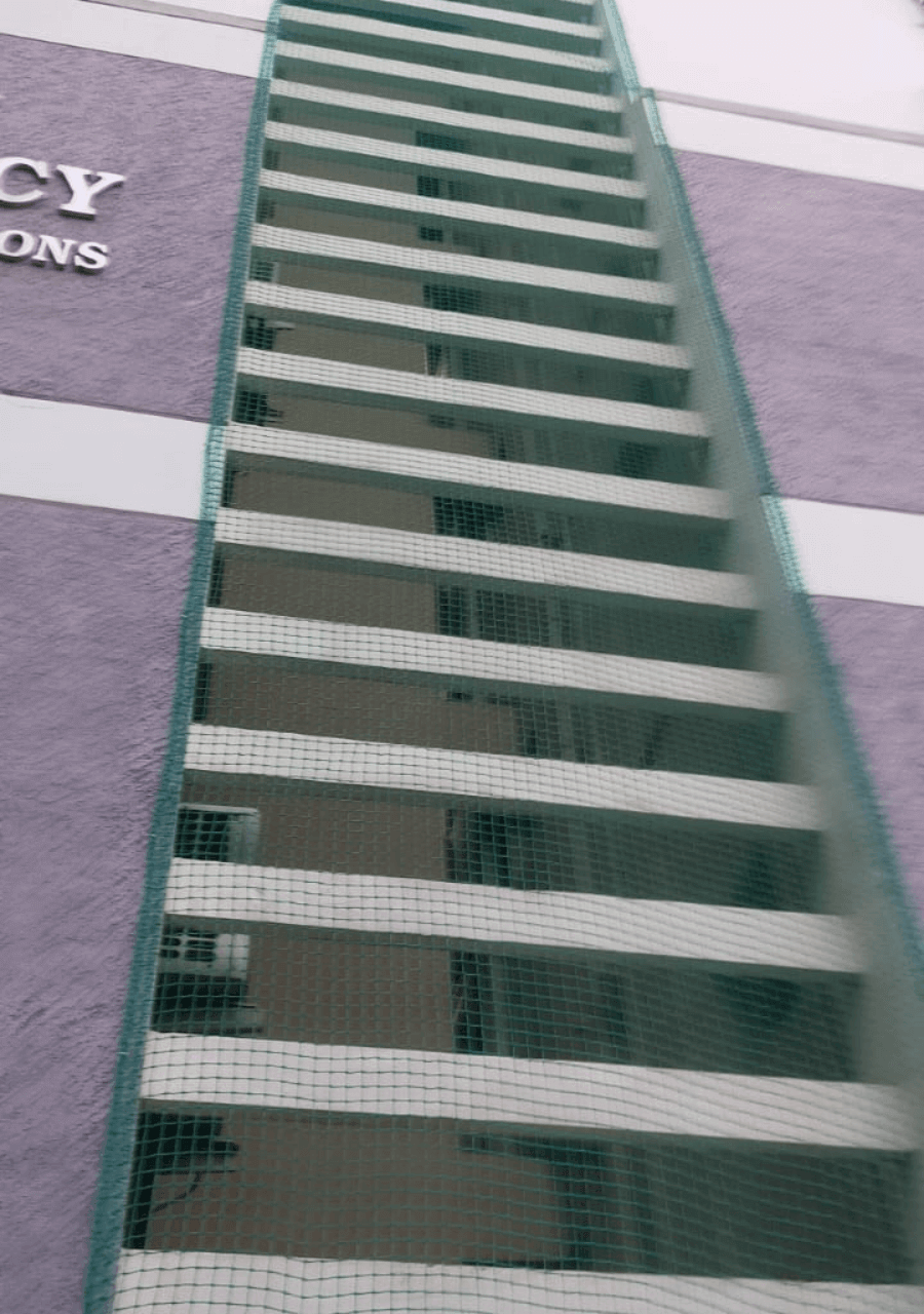 nets6